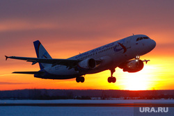 Пилотов «Уральских авиалиний», посадивших самолет под Новосибирском, отстранили