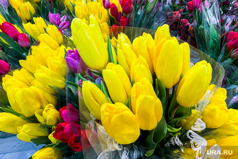 Цветы, мимозы и тюльпаны. Челябинск, праздник, тюльпаны, букет, женский день, цветы, международный женский день, 8марта, весна