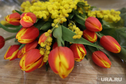 Салон цветов. Курган, тюльпаны, букет, цветочный магазин, цветы, международный женский день, 8 марта, салон цветов
