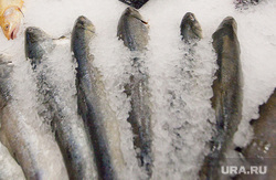 Продуктовый магазин. Пермь, продукты, рыба, магазин, супермаркет, еда