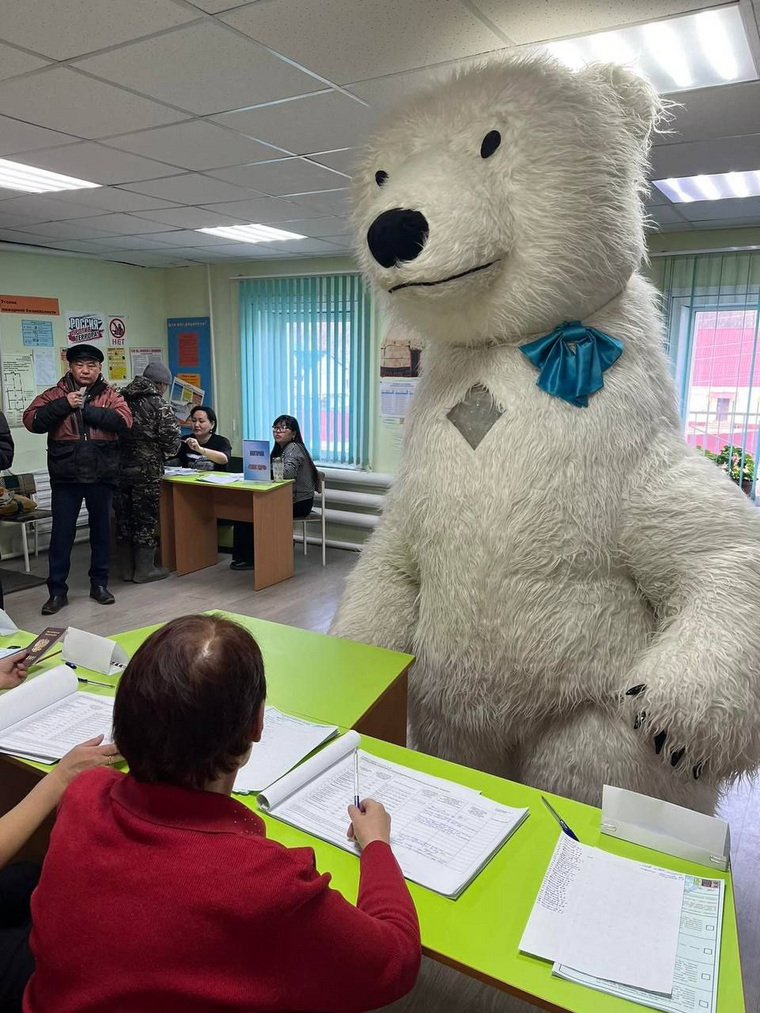 Белый медведь пришел на избирательный участок