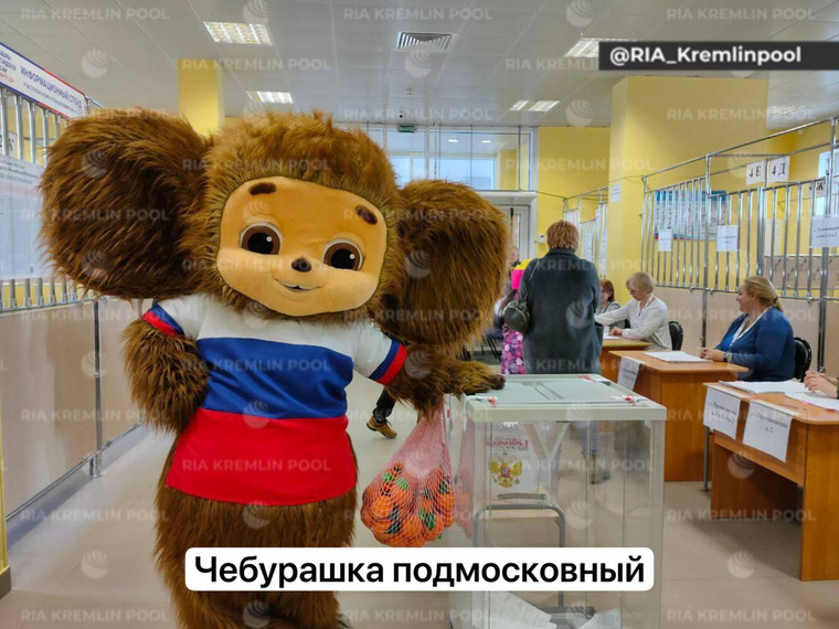 Чебурашка надел на голосование за президента РФ футболку с изображением российского флага