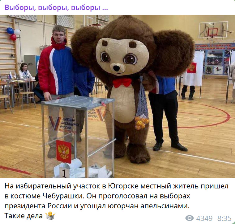 https://t.me/vybora/55988
