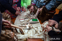 Жизнь оленеводов. Сургут, сырая рыба, ханты, прием пищи, строганина, кмнс