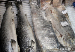 Рейд по оптовой продуктовой базе Курган, продукты, морепродукты, рыба мороженная