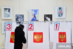 Выборы 2024. Курган, голосование, кабины для голосования, выборы 2024