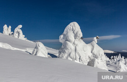 Природа Пермского края. Пермь, зима, деревья в снегу, северный урал, горы зимой, тулымский камень