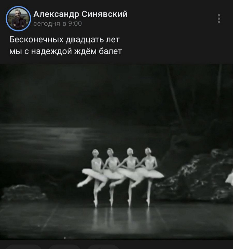 Пост Александра Синявского про «Лебединое озеро» заинтересовал бойцов ЧВК «Вагнер»