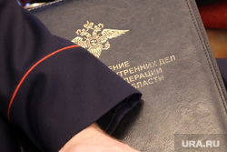 Заседание городской думы. Курган, управление мвд, министерство внутренних дел