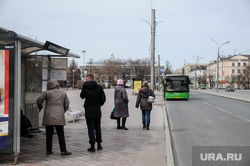В Тюмени рассказали, когда заработают дачные автобусные маршруты