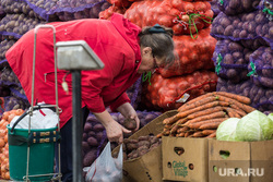 Клипарт. Магнитогорск, капуста, продукты, пенсионерка, морковь, весы, овощная ярмарка, оптовая торговля, еда, продажа, покупка, покупательница, картофель в сетке, лук репчатый
