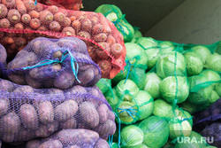 Тюменская ярмарка. Нижневартовск, капуста, овощи, продукты, картошка