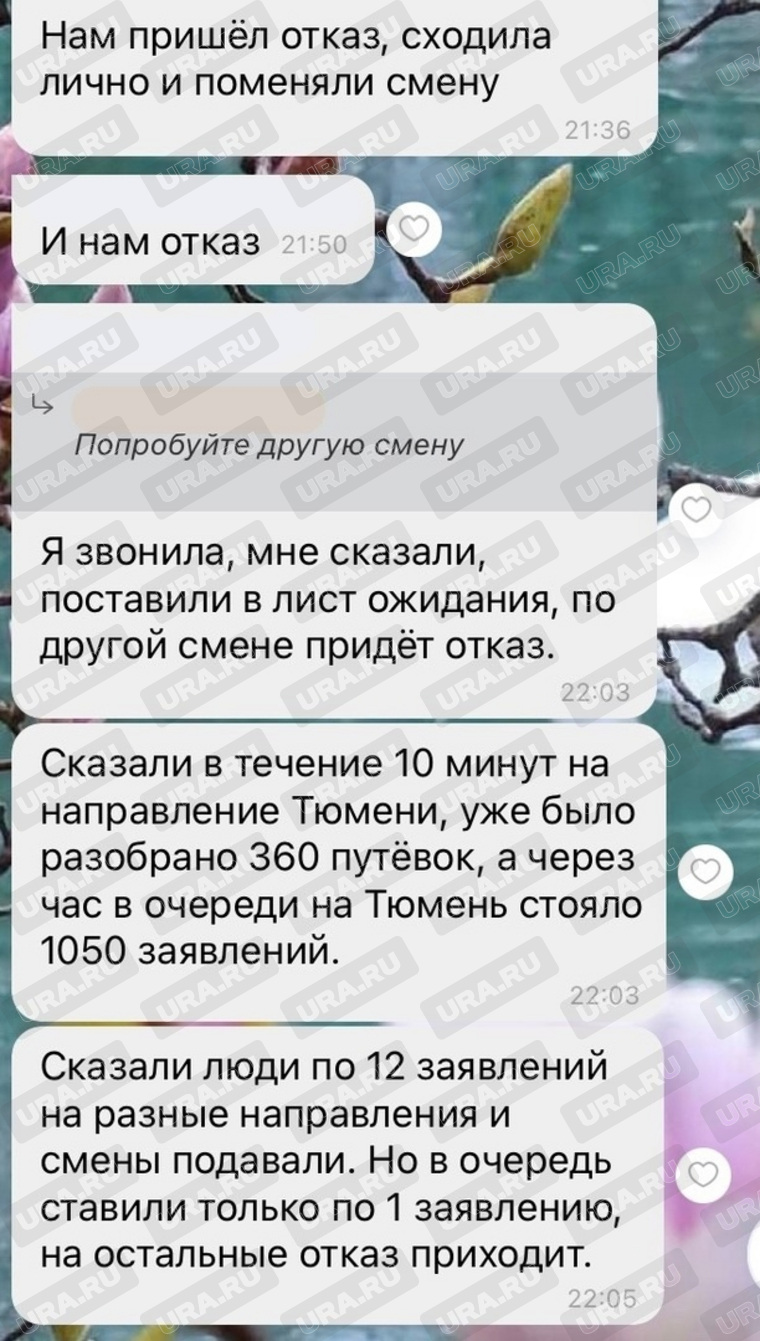 Скриншот родительского чата Нижневартовска