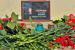 Crocus city holl. Курган, гвоздики, скорбь, Crocus city holl, курган скорбит