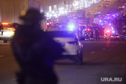 Теракт в Крокус Сити Холл. Московская область, спецслужбы