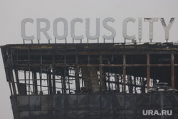 Crocus city holl. Билборды. Возложение цветов. Москва
