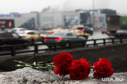 Крокус сити холл днем после террористического акта. Мемориал по погибшим в Крокус сити холле. Москва, траур, гвоздики, цветы, дорога, память, поминовение, крокус сити холл