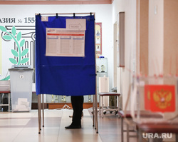 Уральский профессор, пришедшая на выборы с зеленкой, долго не верила мошенникам