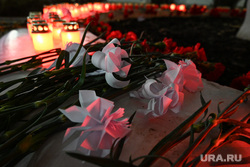 Акция памяти погибших в подмосковном «Крокус Сити Холле». Екатеринбург , акция памяти крокус сити холл, белый крокус