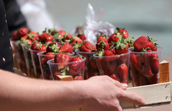 Сортировщикам ягод готовы платить от 90 000 до 180 000 рублей