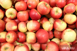 Цены на овощи и фрукты. Тюмень , фрукты, яблоки