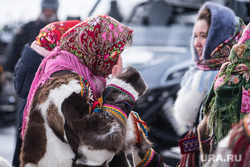 День оленевода. Салехард , день оленевода, ненки