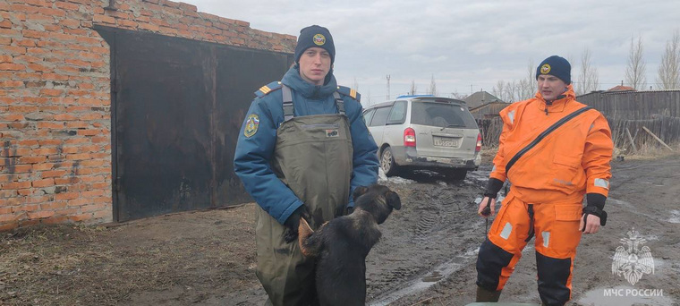 Спасатели МЧС России обходят дворовые территории