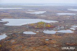 Природа Ямало-Ненецкого автономного округа, север, тундра, арктика, озеро, водоем, ямал, природа ямала, вид сверху, осень, с квадрокоптера