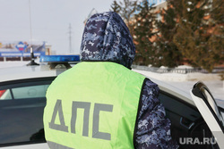 Пресс конференция в ГИБДД. Курган, дтп, дпс