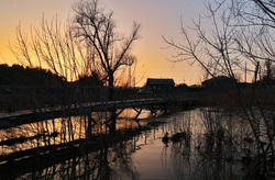 Уровни воды на основных реках региона, будут находиться в пределах средних многолетних значений