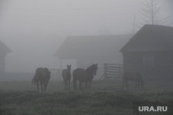 Охота на водоплавающую дичь. Пермь