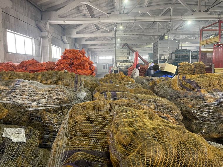 Тонны продуктов отправят в ПВР