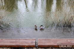 Поднятие уровня воды в реке Исеть. Екатеринбург, паводок, уровень воды, подтопление