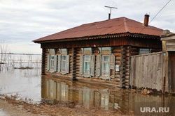 Звериноголовское. Курган, деревня, половодье, поселок, паводок, уровень воды, наводнение, дом
