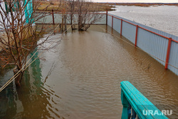 Последствия разлива реки Уй в Целинном районе в селе Усть-Уйское. Курган, половодье, уй, паводок, наводнение, потоп, река кама, стихийное бедствие, разлив