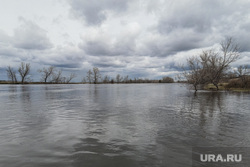 Подъем воды на берегу у деревни Бараба. Курганская область, половодье, паводок, река тобол, наводнение, подъем воды
