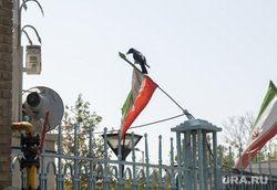 Тегеран. Иран, мечеть, ислам, мусульмане, иранская мечеть, ворона на иранском флаге