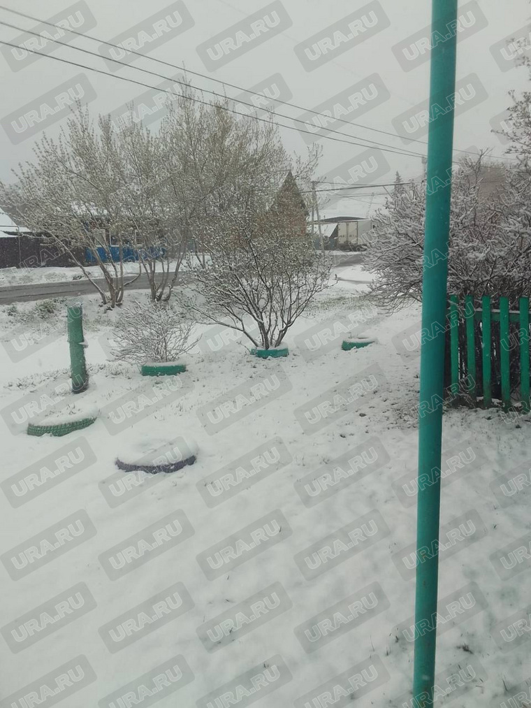 В Курганской области 25 апреля выпал снег