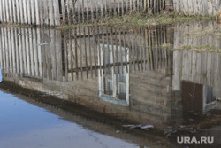 Паводок, Деревня Репьева. Ишимский район. Тюмень, отражение, паводок, наводнение, потоп, разлив