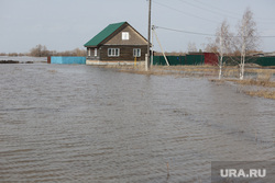 Паводок в селе Клепиково. Ишимский район , половодье, паводок, наводнение, потоп, разлив