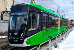 Власти планируют закупить 80 новых трамваев