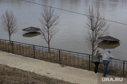 Уровень воды в реке Ишим побил очередной рекорд. Скрин