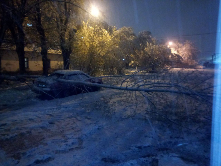 На улице Мельзаводской упавшее дерево перегородило проезд и повредило авто