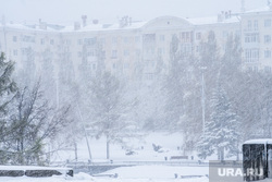 Майский снег (продолжение). Екатеринбург , исторический сквер, непогода, снегопад