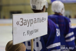 Курганский ХК «Зауралье» подписал игроков из Челябинска и Перми. Фото