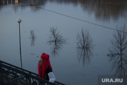 Уровень воды в реке Ишим в одном из сел продолжает обновлять рекорд. Скрин