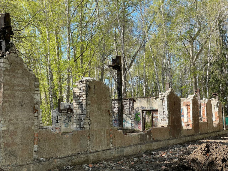 В ЦПКиО частично сносят здание долгостроя