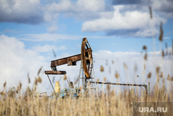 Великобританию заподозрили в покупке нефти у России через третьи страны