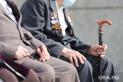 За два года в Тюменской области стало на 50 ветеранов меньше