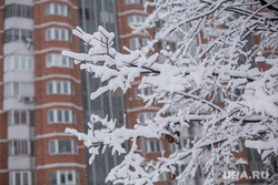 Снегопад в Москве. Москва, зима, снегопад